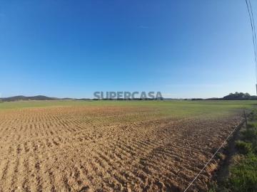 Terreno Porto Covo