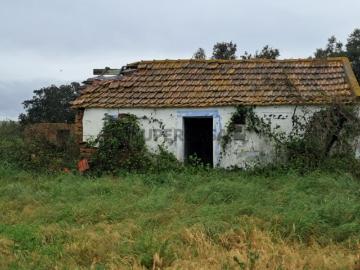 Terreno Misto situado na Ameira