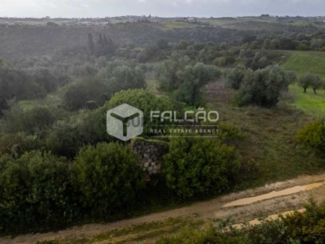Terreno Misto Venda em Pernes,Santarém