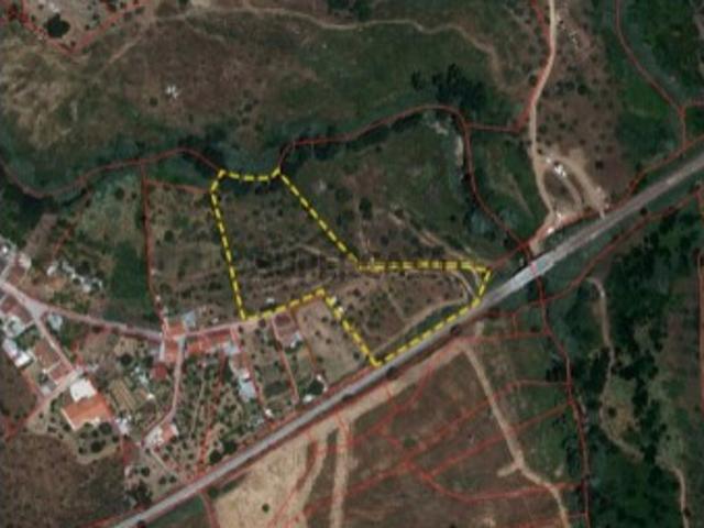 Terreno Misto Venda em Abrantes São Vicente e São João e Alferrarede,Abrantes