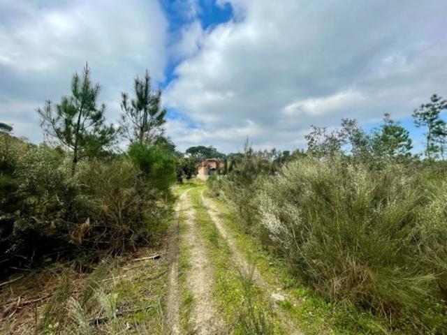 Terreno Misto Venda em Santar e Moreira,Nelas