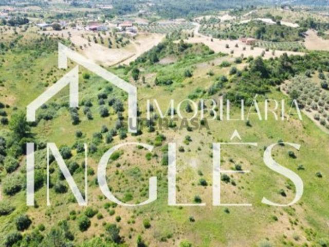 Terreno Misto Venda em Santarém Marvila, Santa Iria da Ribeira de Santarém, Santarém São Salvador e Santarém São Nicolau,Santarém
