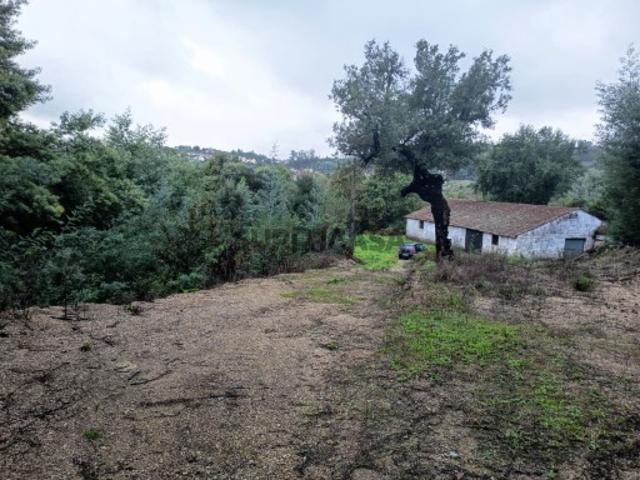 Terreno Misto Venda em Treixedo e Nagozela,Santa Comba Dão