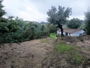 Terreno Misto Venda em Treixedo e Nagozela,Santa Comba Dão