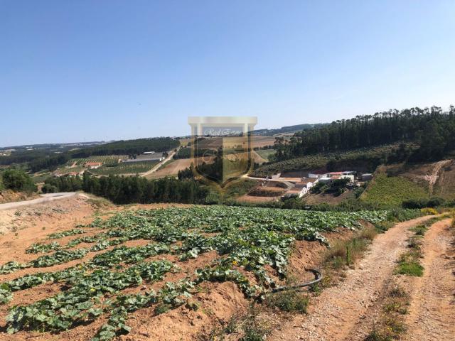 Terreno Misto, 13600m2 Lourinha, Miragaia