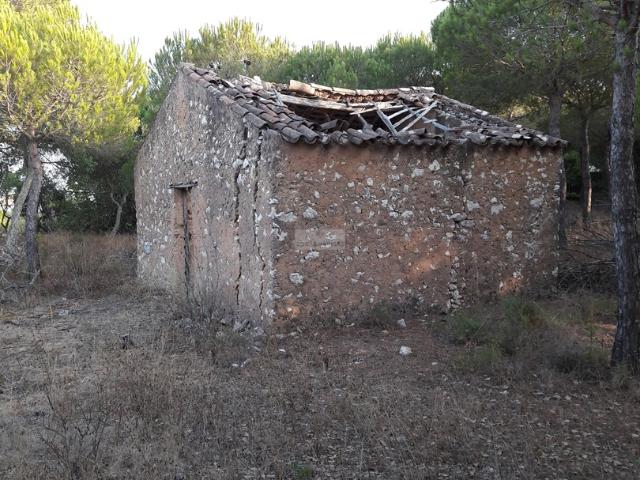 Terreno Misto