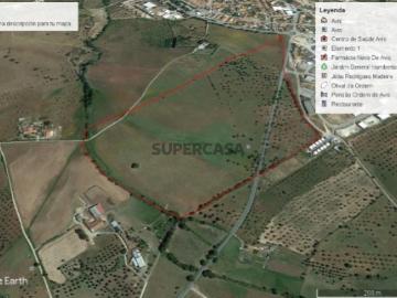 Terreno Misto 22.2 ha, Avis