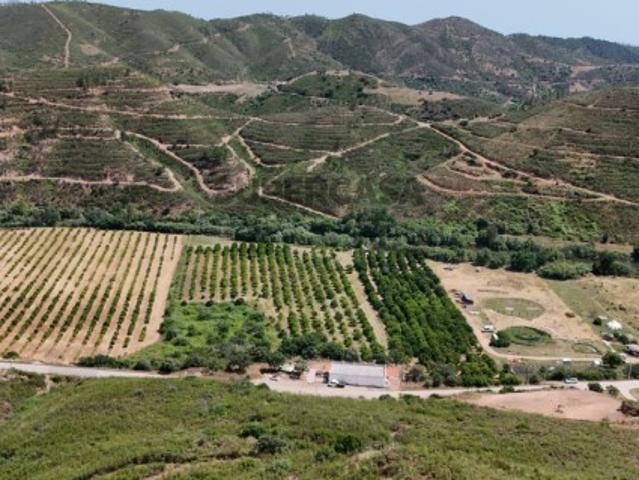 Terreno Misto 32 Hectares em Dobra