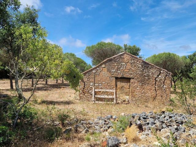 Terreno Misto 32m² Barão De São Miguel