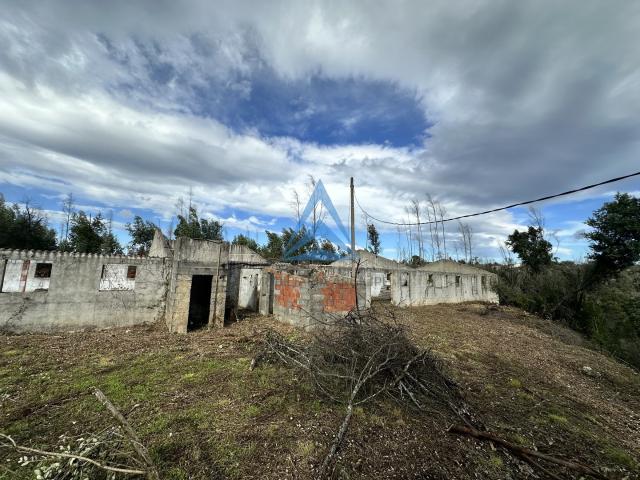 Terreno Misto