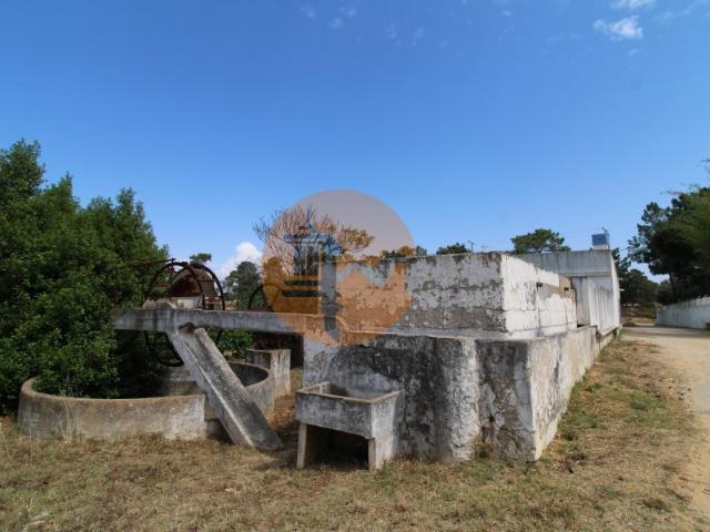 Terreno Misto