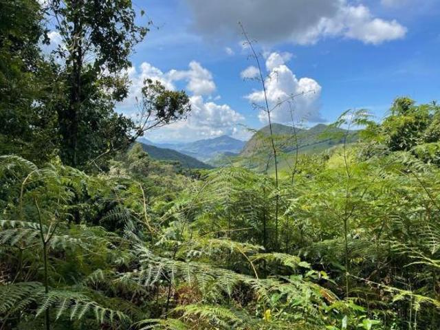 Terreno, Mirantão, Bocaina de Minas, MG