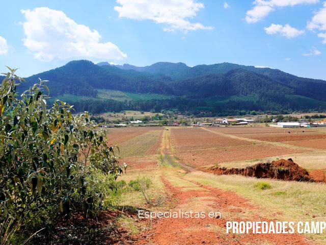 TERRENO MIXTO CON ALTO POTENCIAL EN CHIGNAHUAPAN