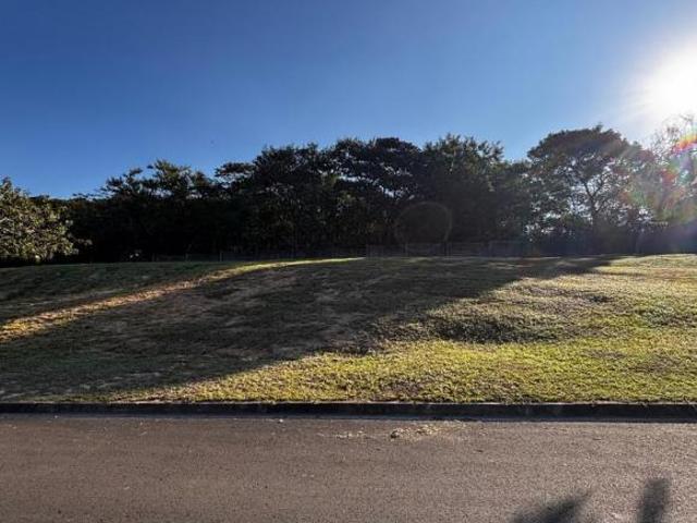 Terreno Moinho Novo