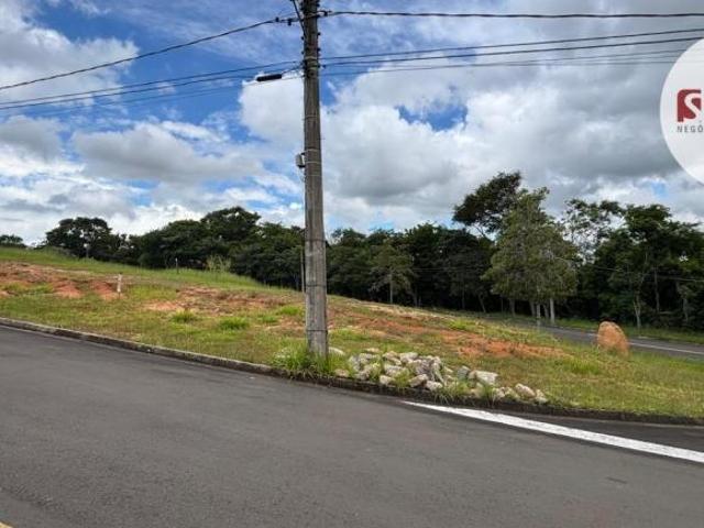 Terreno Moinho Novo