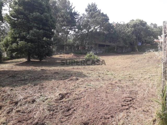 Terreno Moledo