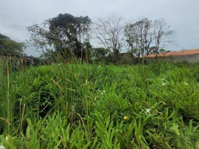 Terreno Mongaguá