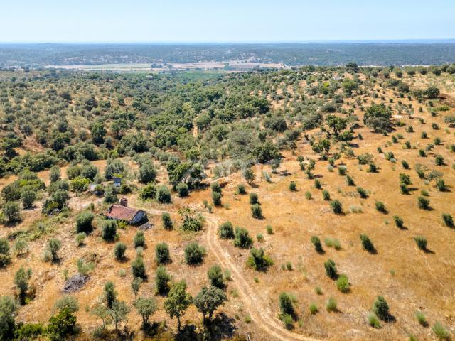 Terreno Montargil 2ha com casa 86m2 viabilidade 108m2