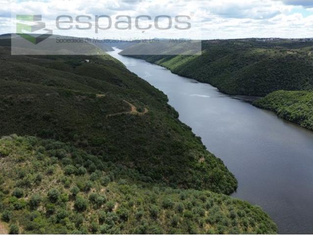 Terreno Monte Fidalgo