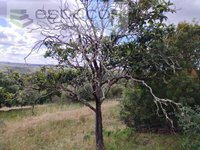 Terreno Monte Fidalgo