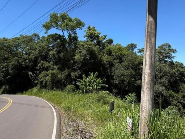 Terreno, Morro das Batatas, Feliz, RS