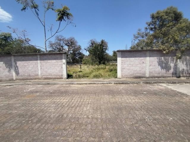 Terreno Nuevo Coapexpan