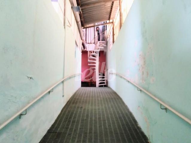 Terreno null quartos à venda no a Quinta da Paineira