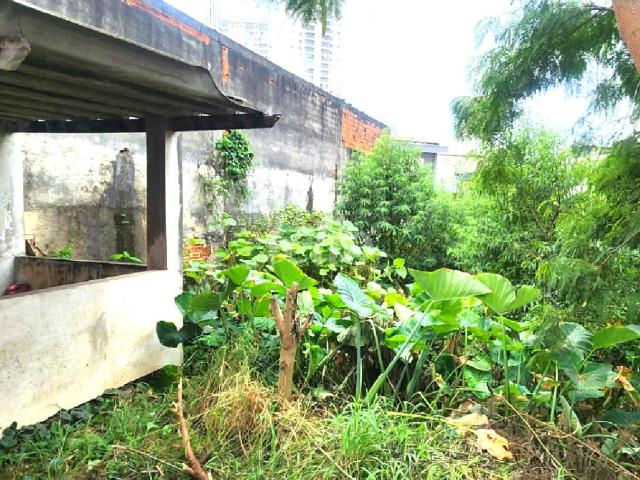 Terreno null quartos à venda no a Vila Brasilio Machado