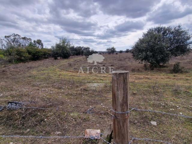 TERRENO NÃO CONSTRUTIVO
