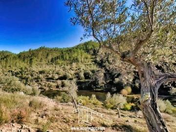 Terreno na Margem do Rio Ocreza Sto André das Tojeiras Castelo Branco
