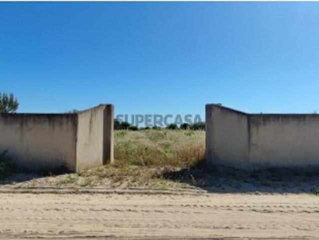 Terreno na Azeitada Benfica do Ribatejo