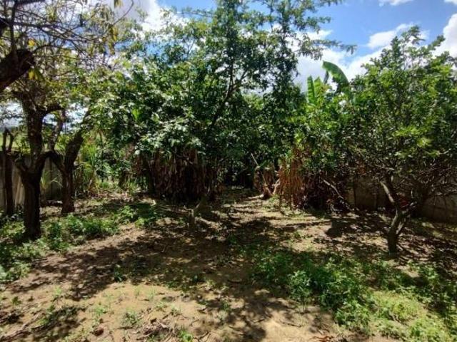 Terreno na Agrovila, São Gotardo