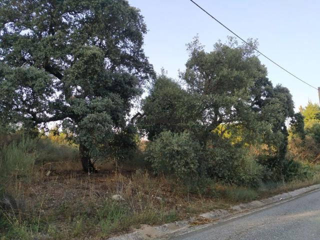 Terreno na aldeia