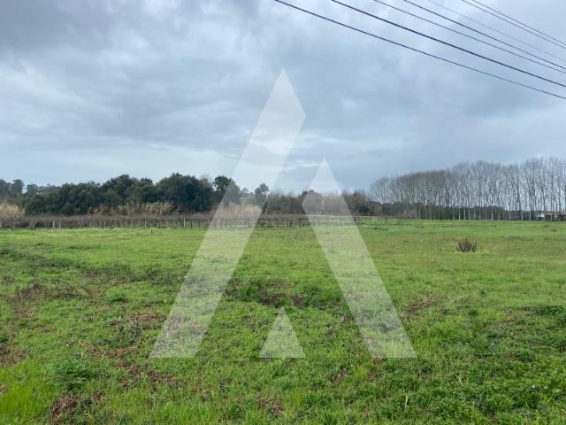 Terreno na Amoreira da Gândara em Anadia