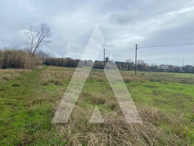 terreno na Amoreira da Gândara em Anadia