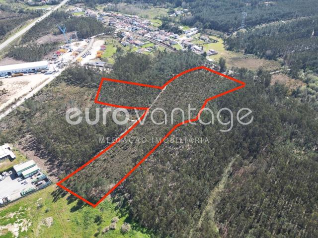 Terreno na Barosa, em Leiria