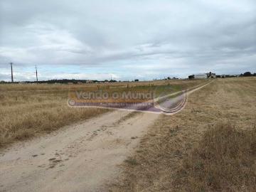 Terreno na Barrosa BARR012