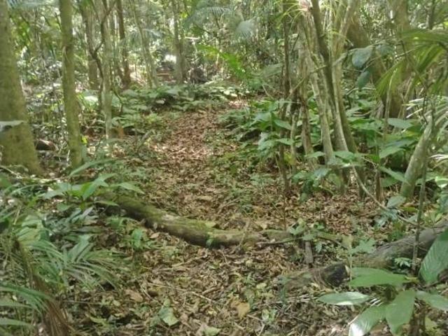 TERRENO NA CACHOEIRA DO FRANÇA COD: 5887 F: 11 97302 9229 CESAR