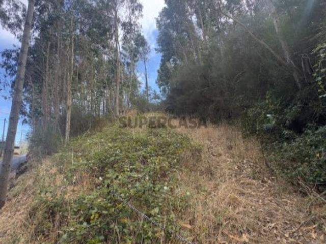Terreno na Camacha com 2.340 m2 com PIP aprovado para construção de moradia unifamiliar