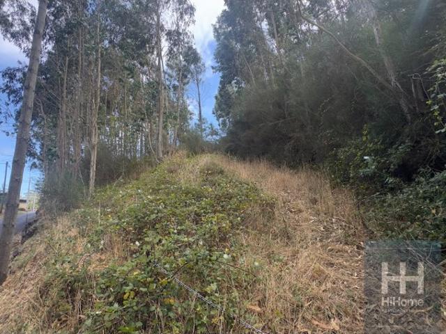 Terreno na Camacha com 2.340 m2 com PIP aprovado para construção de moradia unifamiliar