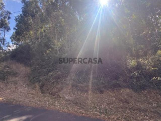 Terreno na Camacha com 2.490 m2 com PIP aprovado para construção de moradia unifamiliar