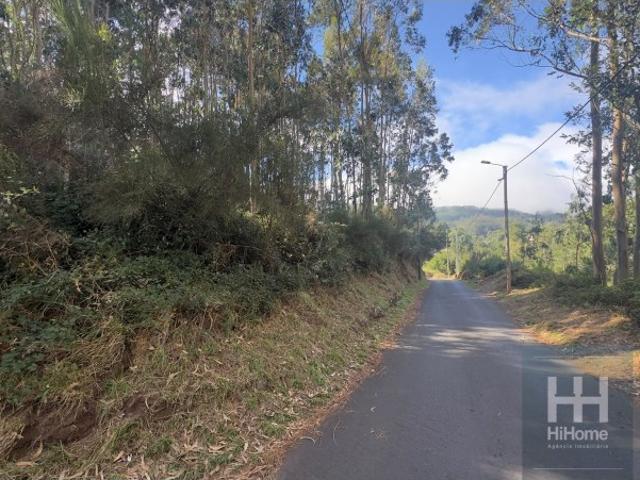 Terreno na Camacha com 4.880 m2 com PIP aprovado para construção de moradia unifamiliar ou geminada