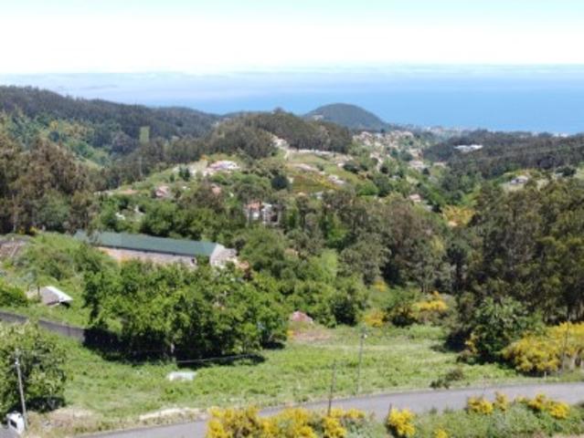 Terreno na Camacha com 5.310 m² e Palheiro para Reconstrução