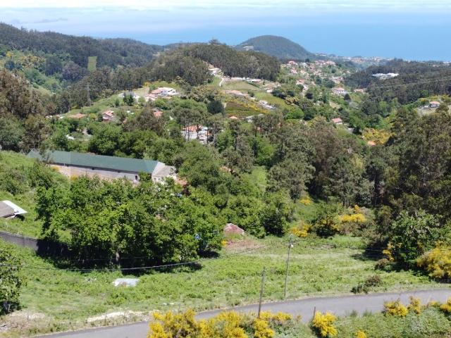 Terreno na Camacha com 5.310 m² e Palheiro para Reconstrução