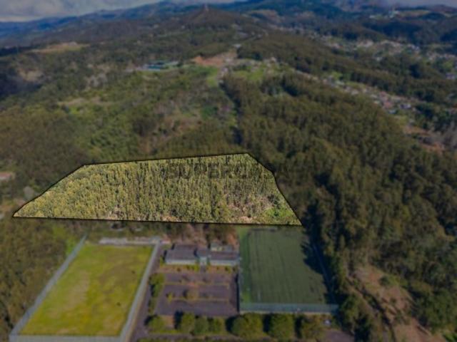 Terreno na Camacha de 24.430m2