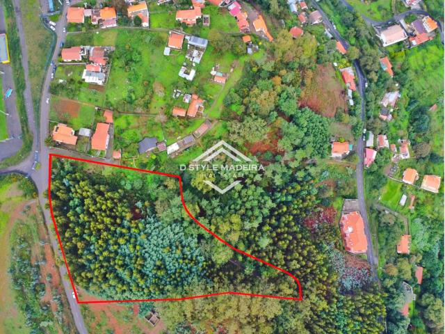 Terreno na Camacha para venda, Santa Cruz, Ilha da Madeira