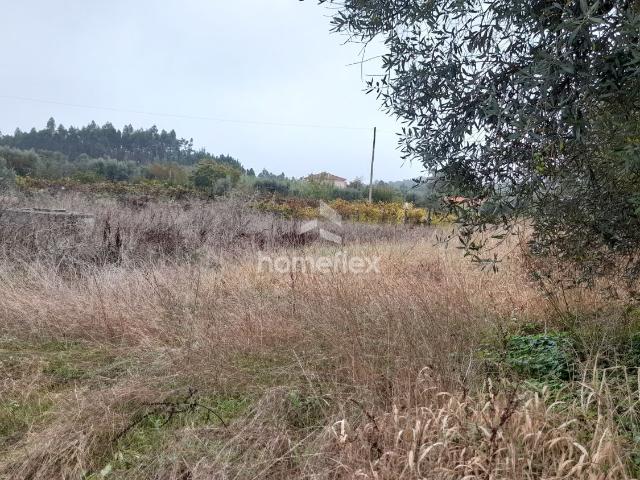 Terreno na Cavada!