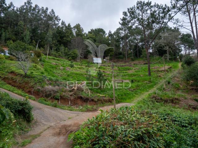 Terreno Na encantadora Freguesia do Santo da Serra Ilha da Madeira