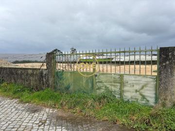 Terreno na Estela para Arrendamento