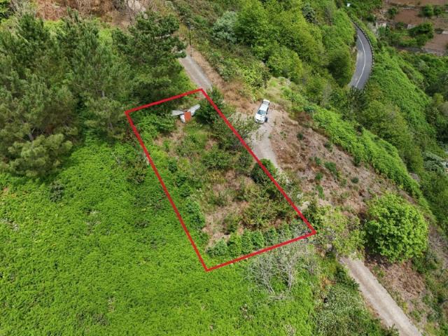 Terreno na Furneira, rodeado de floresta, tranquilidade, fácil acesso a via rápida